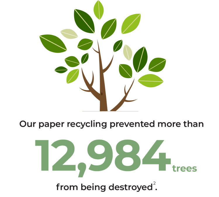 Paper recycling prevented 12,984 trees from being destroyed
