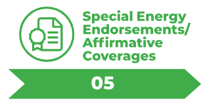 Special Energy Endorsements/Affirmative Coverages