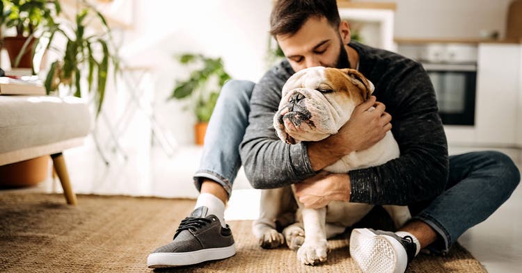 Young man hugs an English bulldog